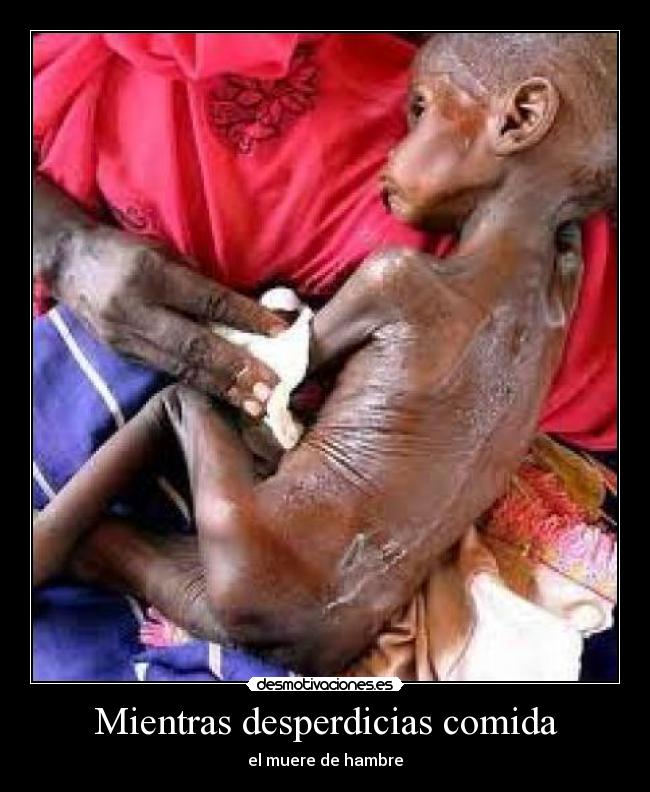 LA COMIDA DE AFRICA la comida de africa: