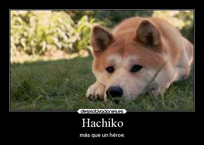 Hachiko -