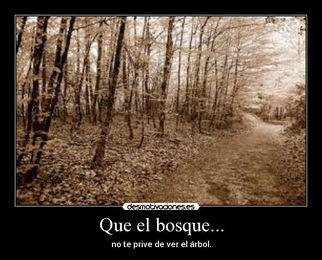 Que el bosque... - 