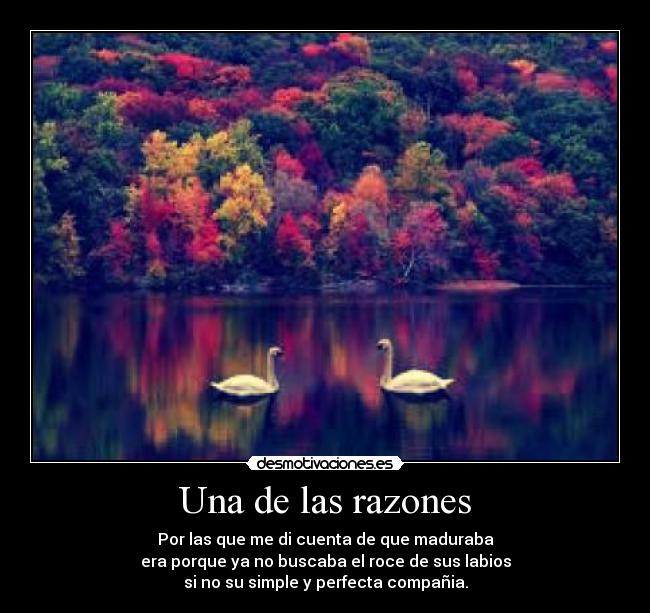 Una de las razones - Por las que me di cuenta de que maduraba
era porque ya no buscaba el roce de sus labios
si no su simple y perfecta compañia.