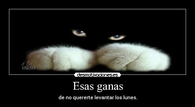 carteles odetthe desmotivaciones