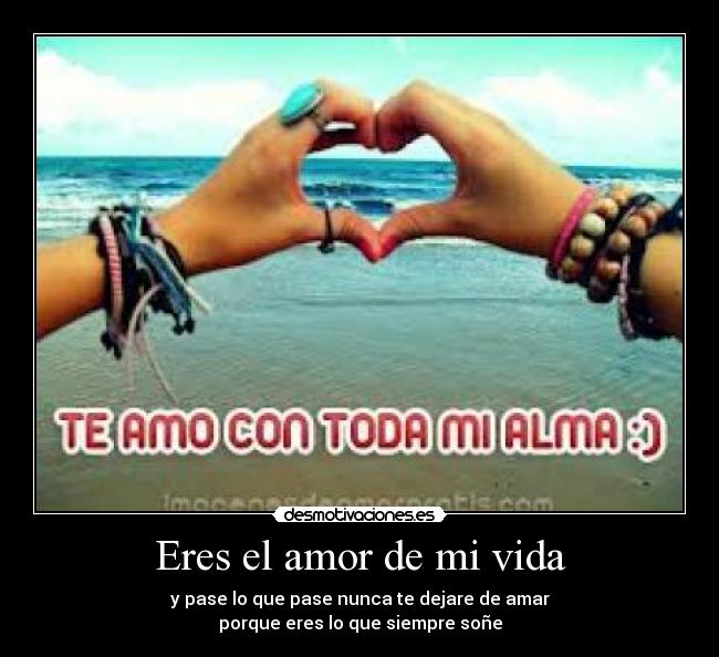 Eres el amor de mi vida - 