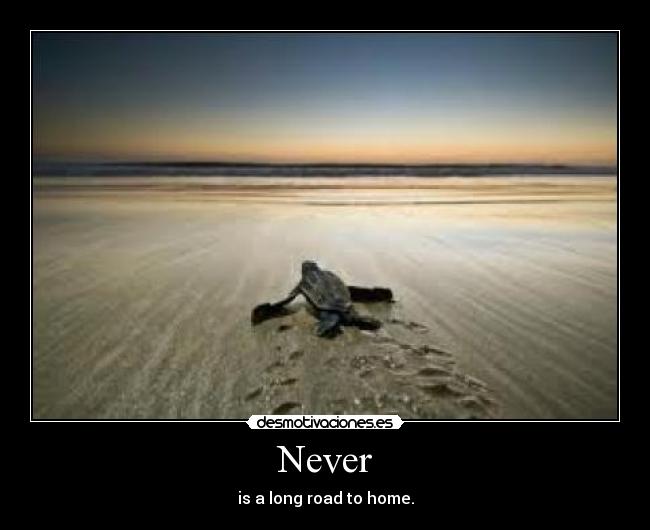 Never - is a long road to home.