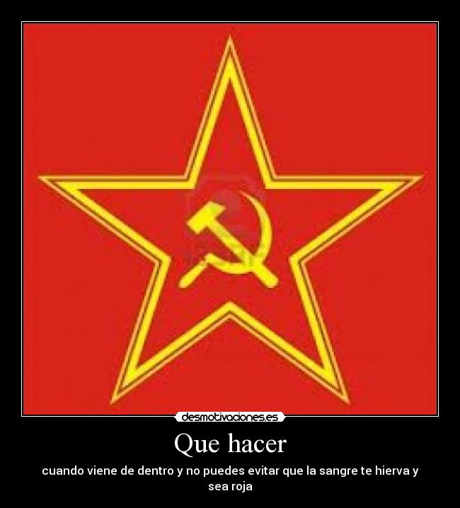 Que hacer - 