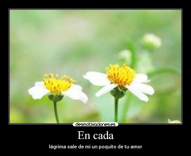 En cada - lágrima sale de mi un poquito de tu amor