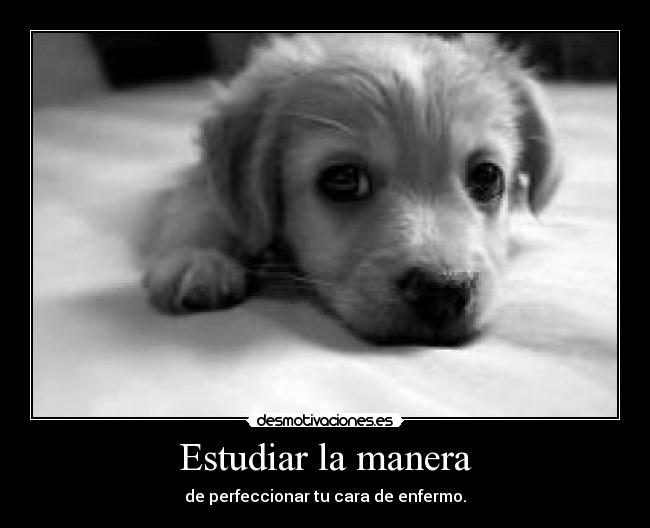 Estudiar la manera - 