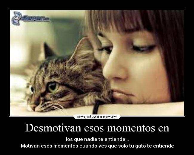 Desmotivan esos momentos en - los que nadie te entiende...
Motivan esos momentos cuando ves que solo tu gato te entiende