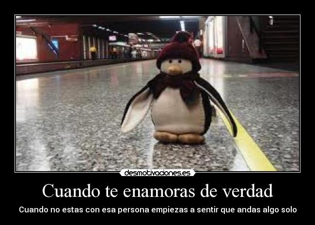 Cuando te enamoras de verdad -