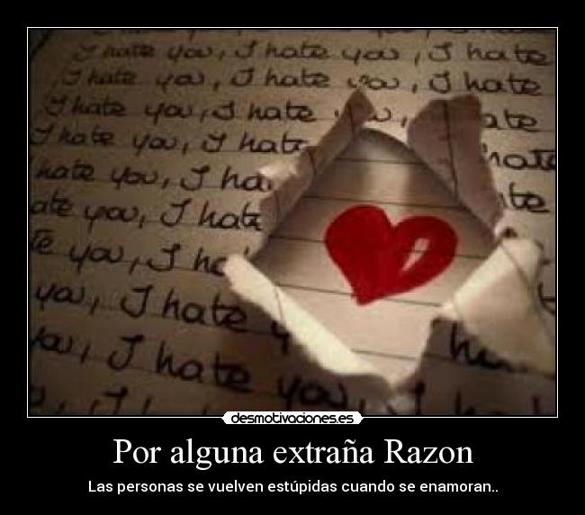 Por alguna extraña Razon - Las personas se vuelven estúpidas cuando se enamoran..