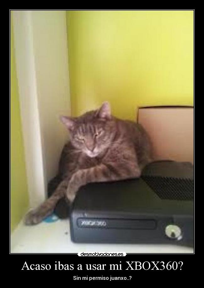 Acaso ibas a usar mi XBOX360? - Sin mi permiso juanxo..?