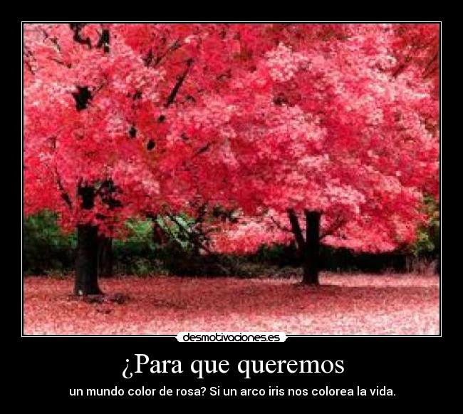 carteles frase confusa colores sexys imagen encanta desmotivaciones