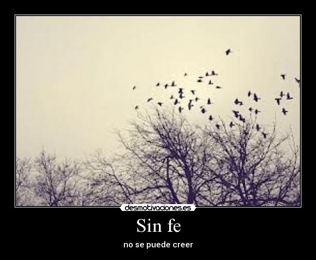 Sin fe - no se puede creer