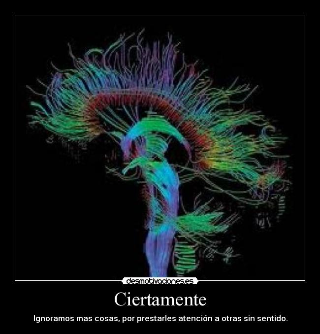 carteles concentrate desmotivaciones