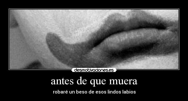 antes de que muera -