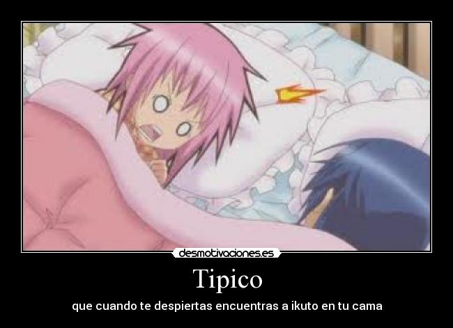Tipico - 