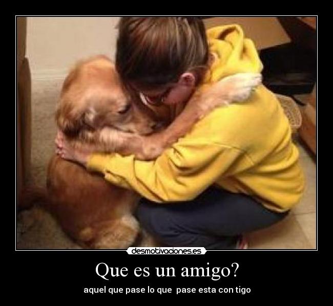 Que es un amigo? -