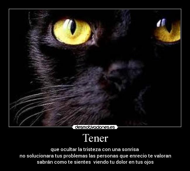 Tener - 