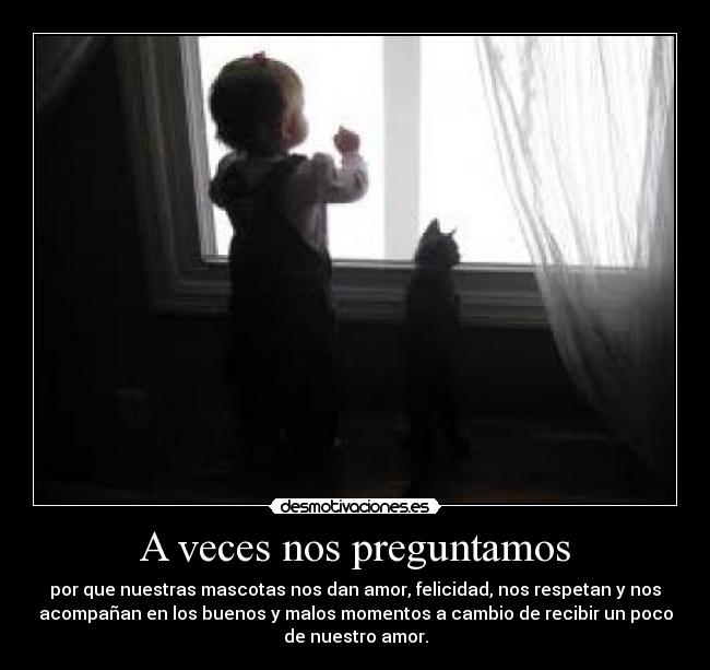 carteles capulet desmotivaciones