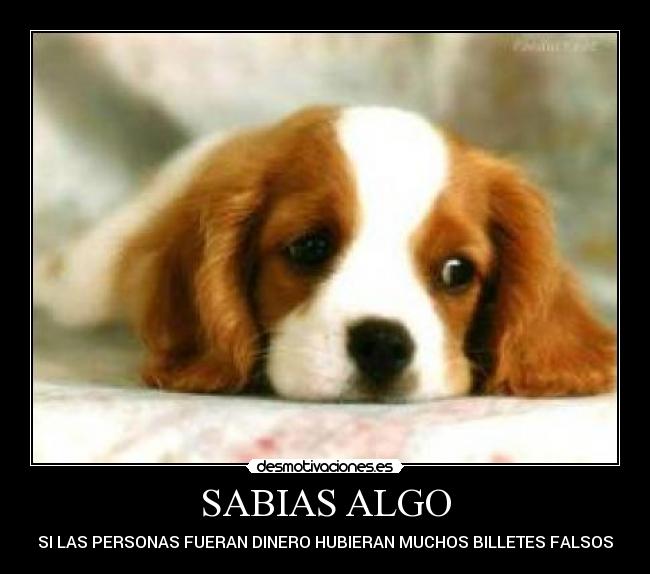 SABIAS ALGO -