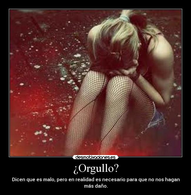 ¿Orgullo? -
