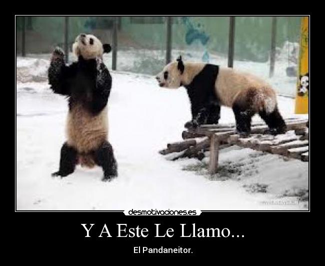 Y A Este Le Llamo... - El Pandaneitor.