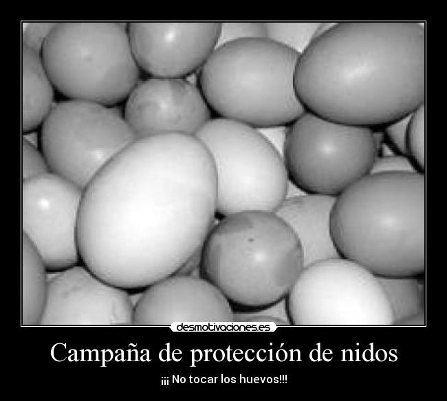 Campaña de protección de nidos - ¡¡¡ No tocar los huevos!!!