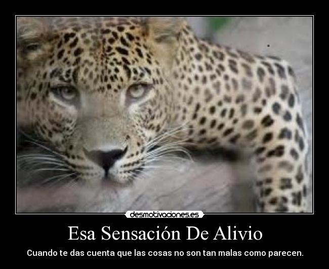 Esa Sensación De Alivio -