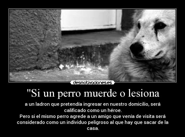 Si un perro muerde o lesiona - a un ladron que pretendía ingresar en nuestro domicilio, será
calificado como un héroe.
Pero si el mismo perro agrede a un amigo que venía de visita será
considerado como un individuo peligroso al que hay que sacar de la
casa.
