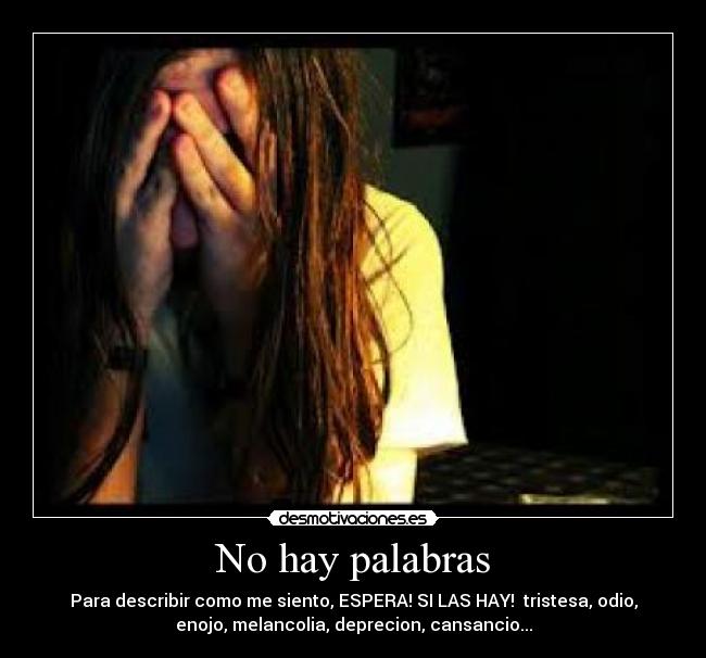 No hay palabras -