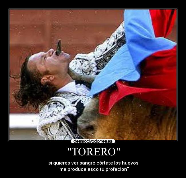 TORERO -