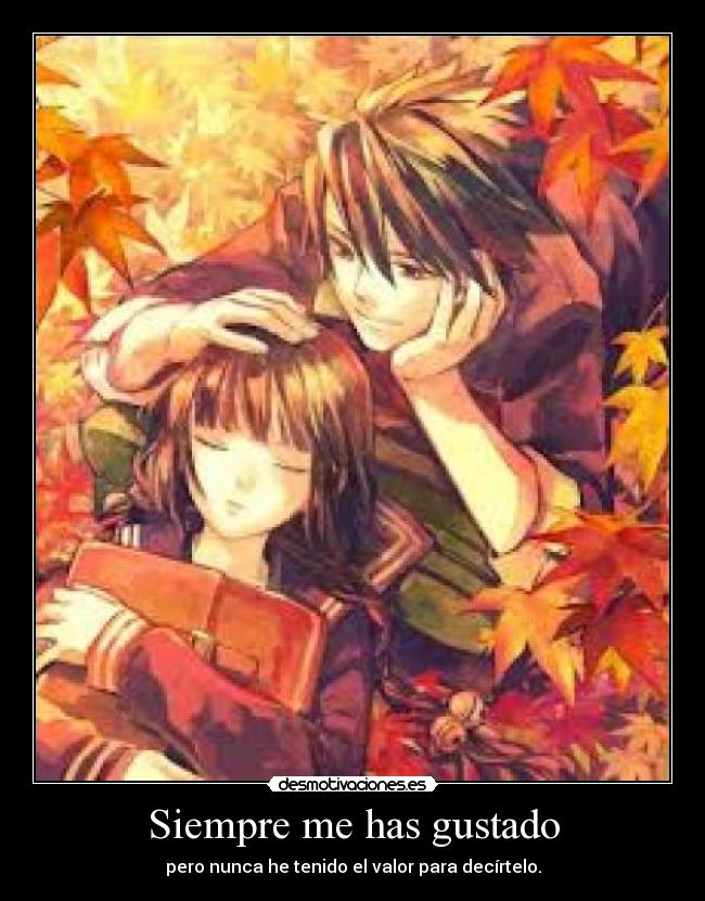 Siempre me has gustado -