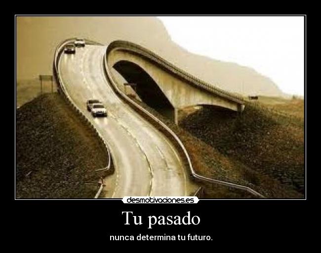 carteles pasado amor futuro amistad internet google desmotivaciones caelike desmotivaciones