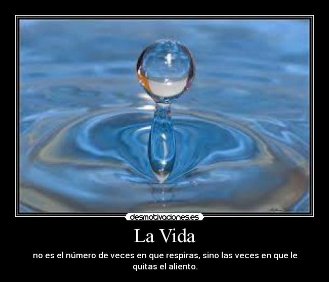 La Vida -