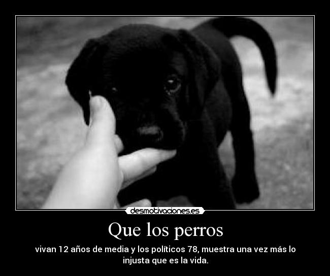 Que los perros - vivan 12 años de media y los políticos 78, muestra una vez más lo
injusta que es la vida.