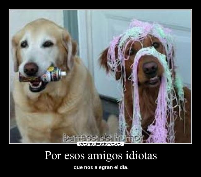 Por esos amigos idiotas - que nos alegran el día.