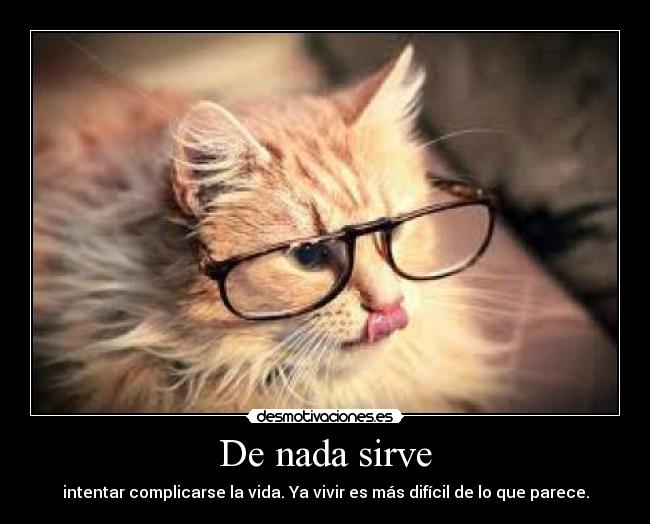 carteles soy fenix sucutrule gato hipster esta saboreando rico raton desmotivaciones