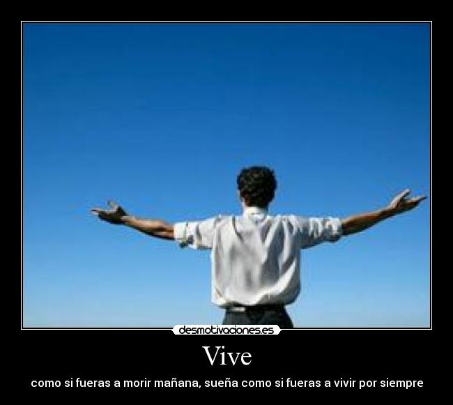 Vive - 