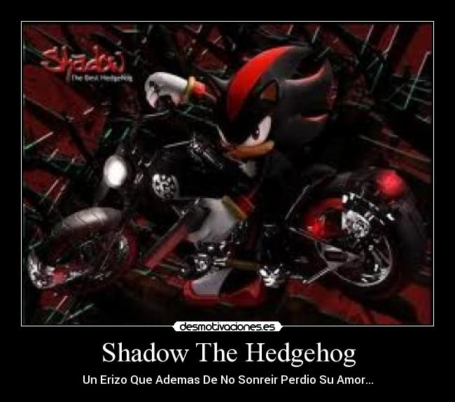 Shadow The Hedgehog -