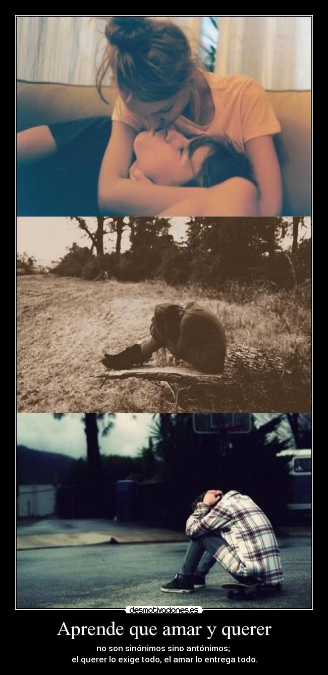 Aprende que amar y querer - 