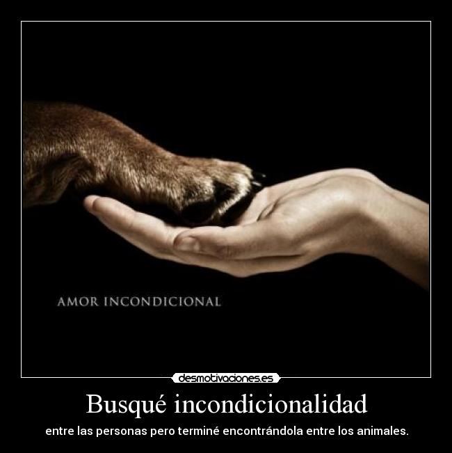 Busqué incondicionalidad -