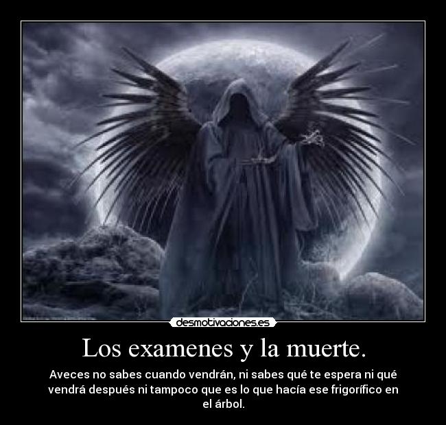 Los examenes y la muerte. - Aveces no sabes cuando vendrán, ni sabes qué te espera ni qué
vendrá después ni tampoco que es lo que hacía ese frigorífico en
el árbol.