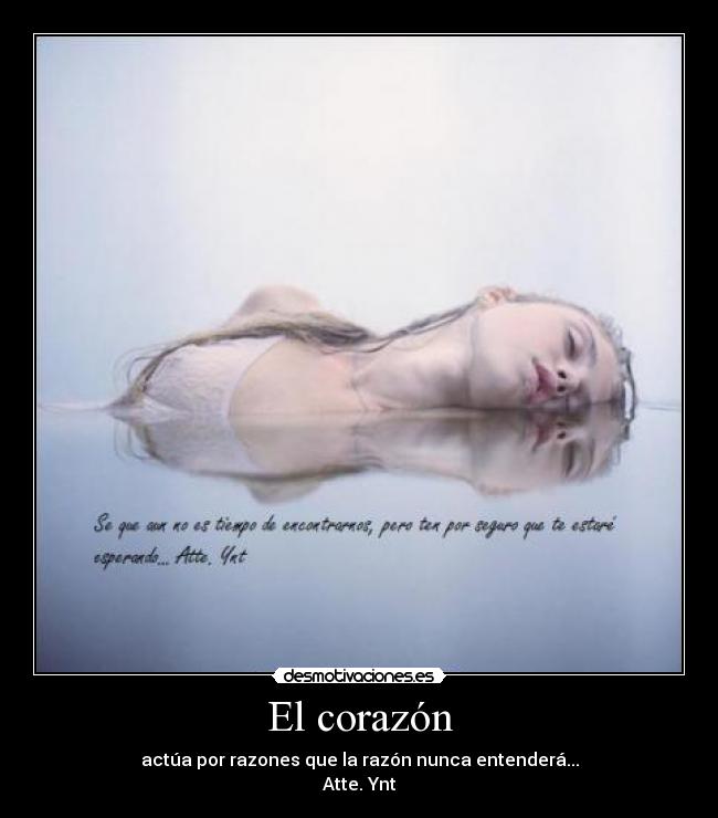 El corazón -