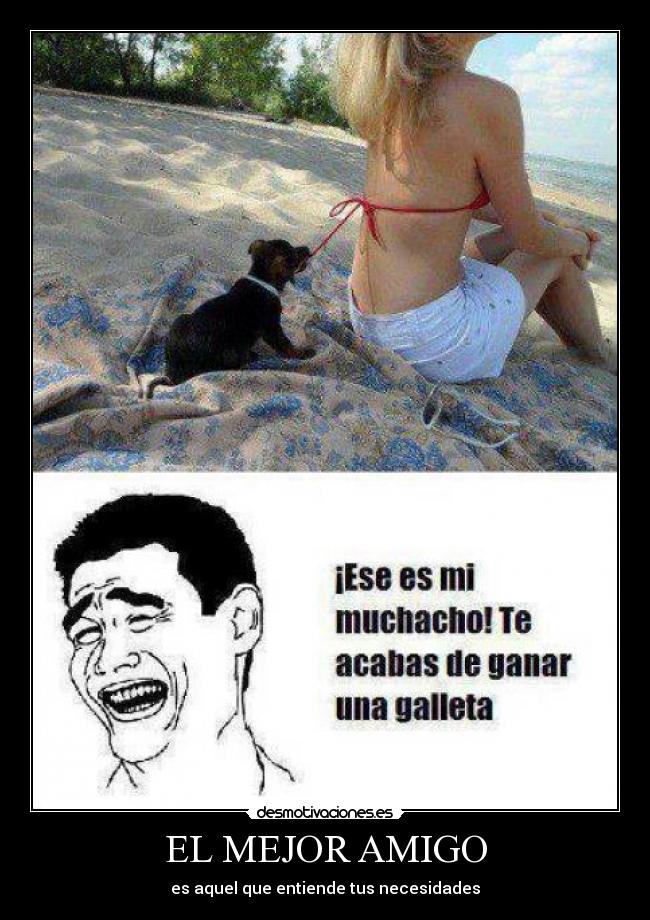 EL MEJOR AMIGO - es aquel que entiende tus necesidades