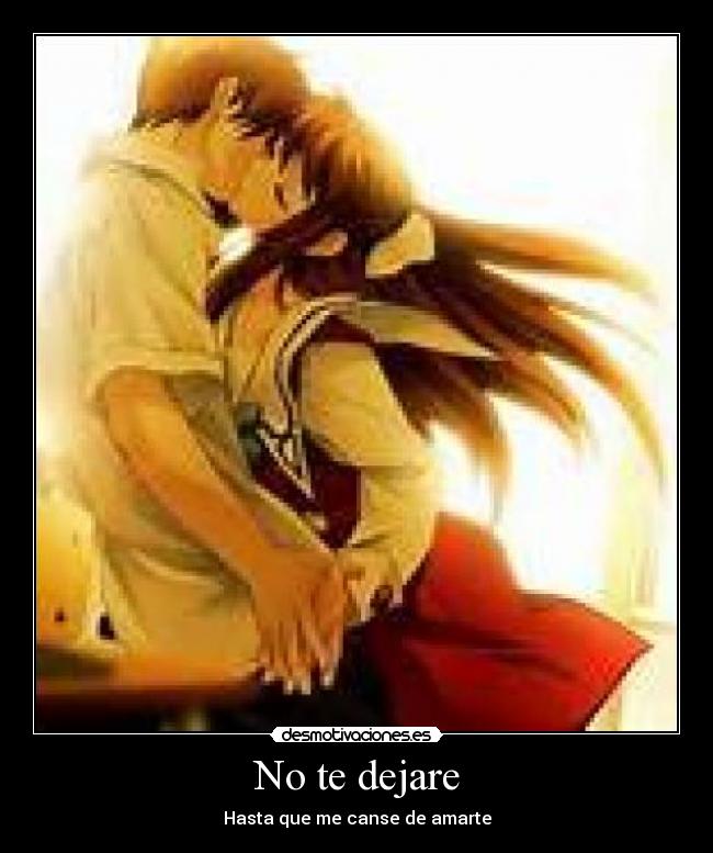 No te dejare - Hasta que me canse de amarte