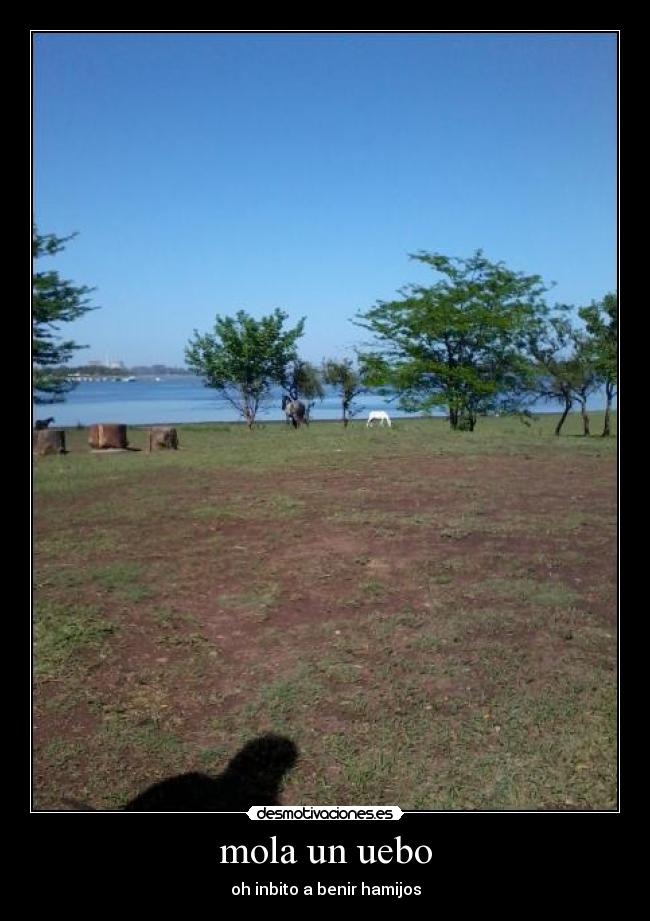 mola un uebo - oh inbito a benir hamijos