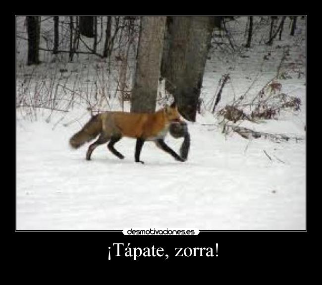 ¡Tápate, zorra! - 