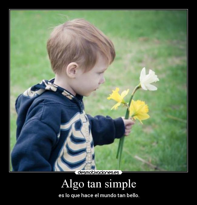 carteles cosas simples mundo bello desmotivaciones