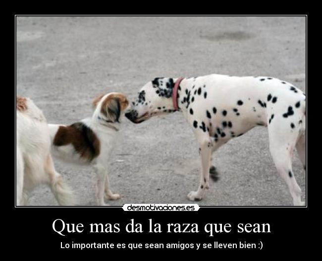 Que mas da la raza que sean - Lo importante es que sean amigos y se lleven bien :)