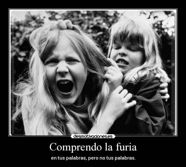 Comprendo la furia - en tus palabras, pero no tus palabras.