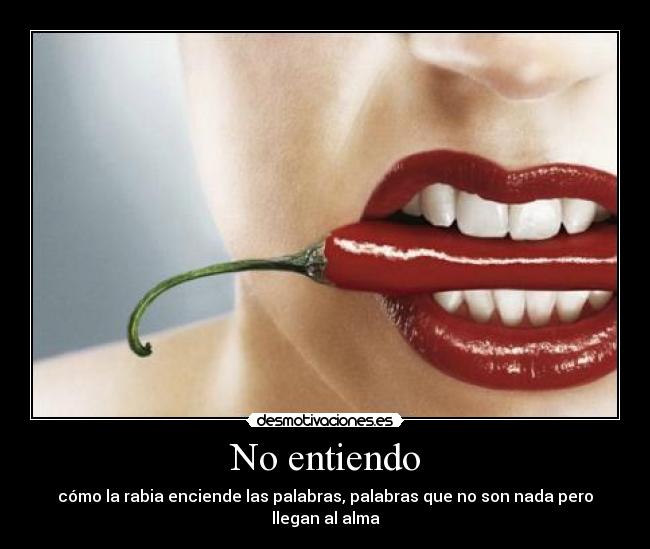 No entiendo - cómo la rabia enciende las palabras, palabras que no son nada pero llegan al alma